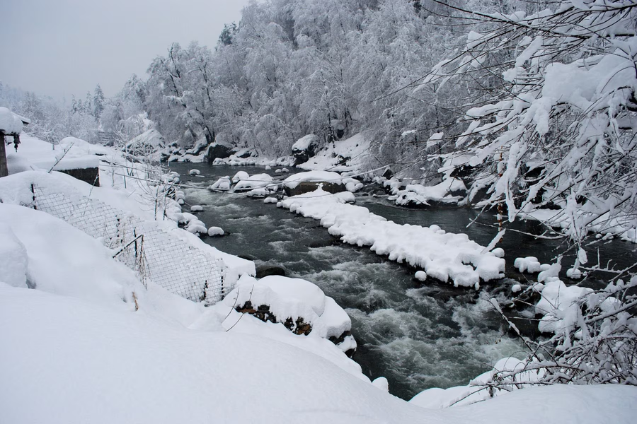 bravia hotel manali inn