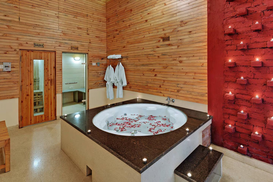 bravia hotel manali inn