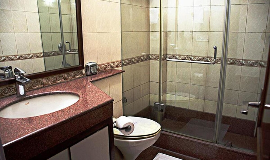 Hotel Windsor Castle,In Gurugram (Dlf City),3 star