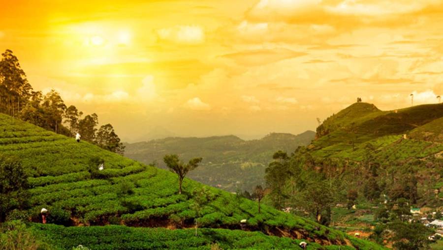 clouds valley leisure hotel