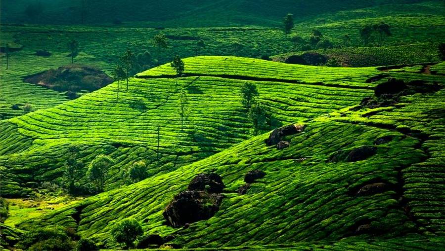 Clouds Valley Leisure Hotel,Near Munnar Bus Stand ,4 star