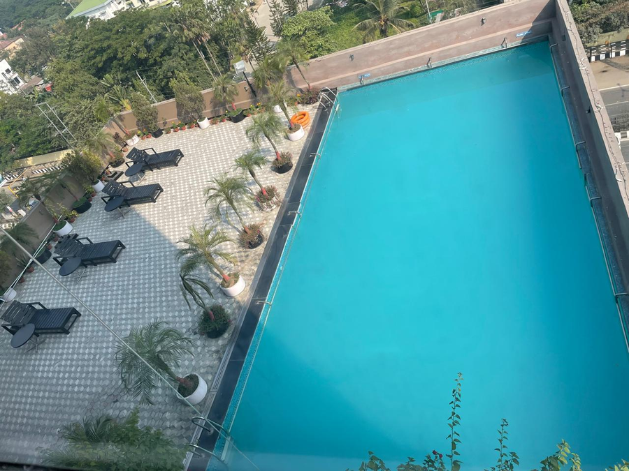 the lily hotel