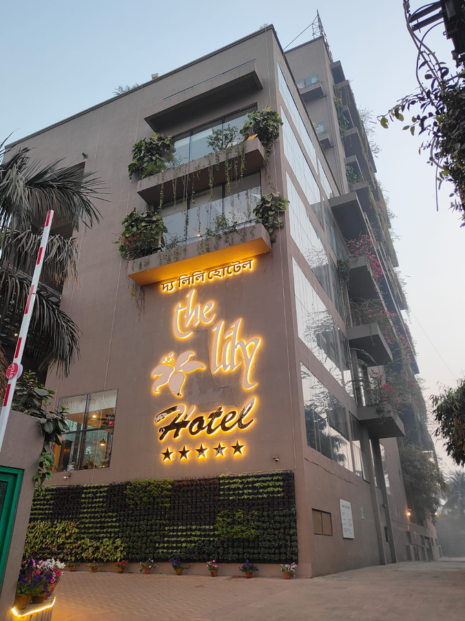 the lily hotel