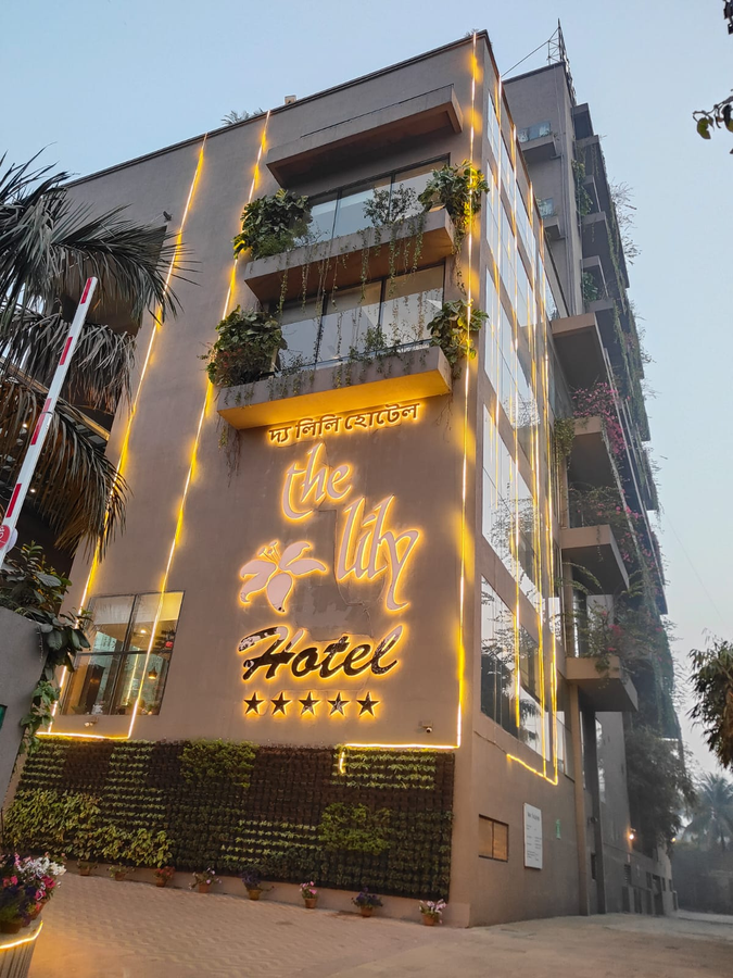 the lily hotel
