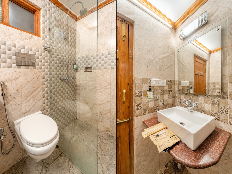 treebo premium bridge view regency mall road