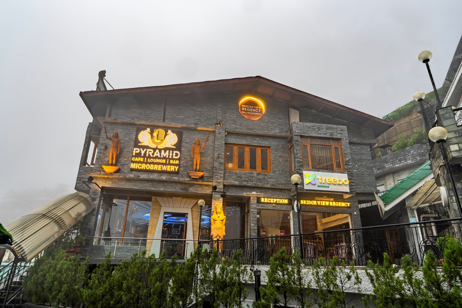 treebo premium bridge view regency mall road