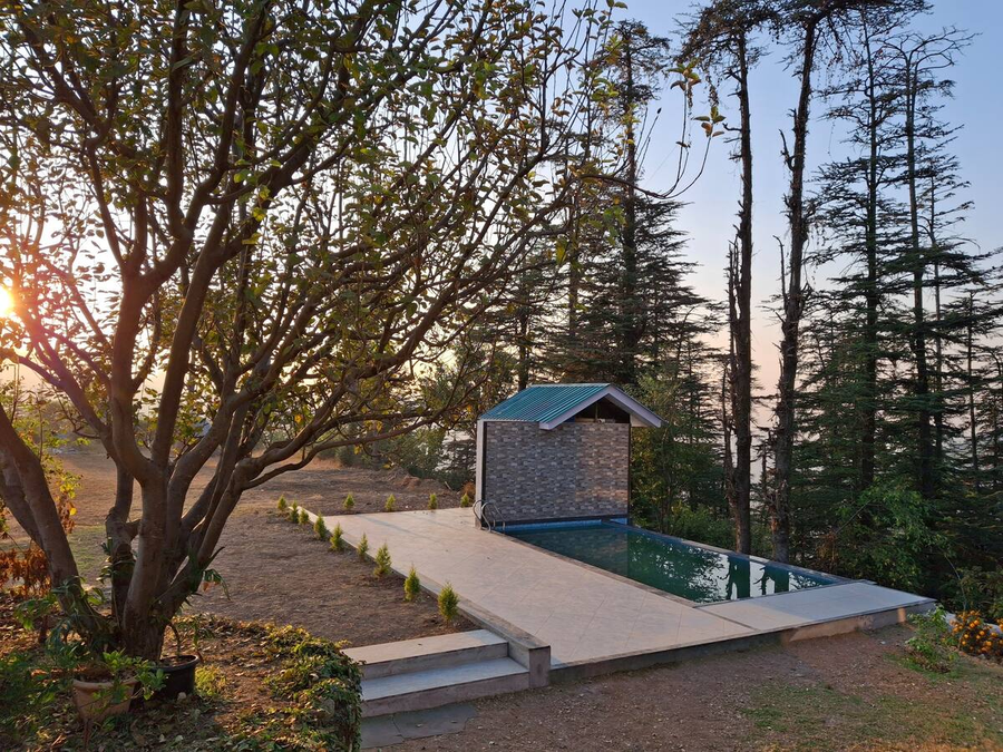 green chaklu mashobra