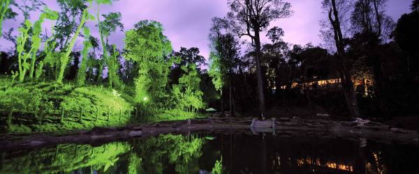 The Windflower Resorts & Spa,Suntikoppa,5 star