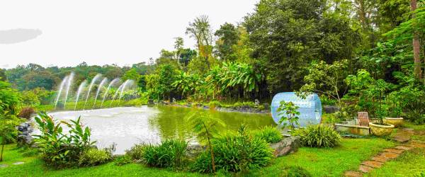 The Windflower Resorts & Spa,Suntikoppa,5 star