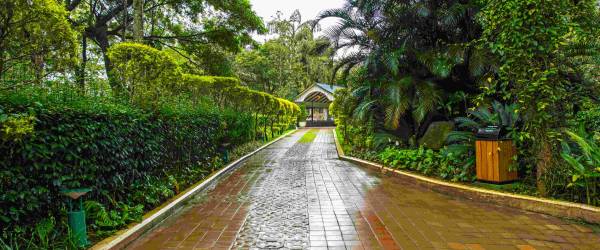 The Windflower Resorts & Spa,Suntikoppa,5 star