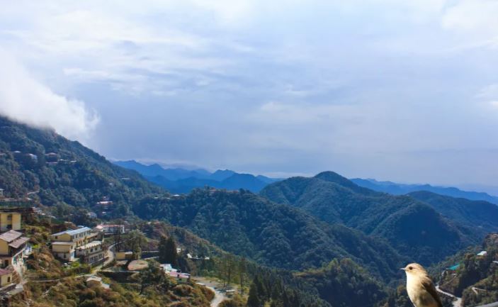 ashirwad hotel and spa