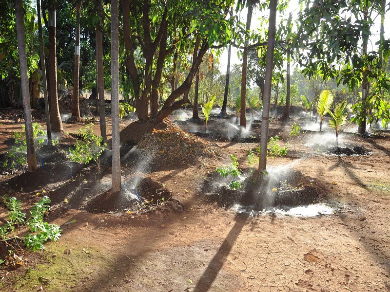 Red Roof Farmhouse,Ratnagiri>>Chiplun,3 star