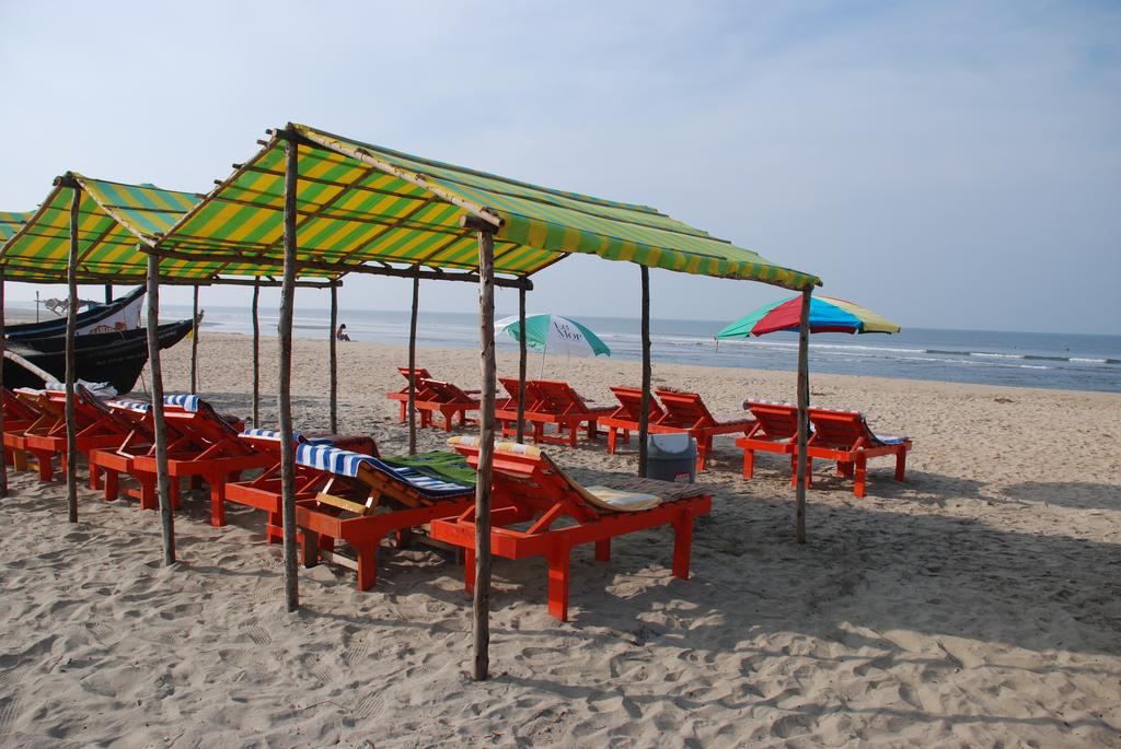 Mollys Nest,Mandrem>>Goa,3 star