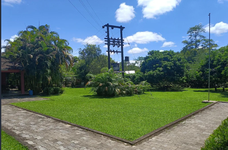 chai seeds resort