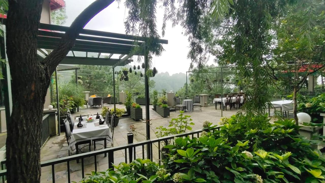 7 Pines Kasauli,Jagjit Nagar,5 star