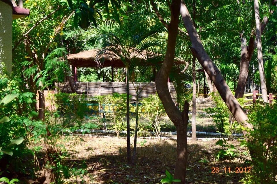 Treebo Premium Mowgli's Den, Pench,Kohka>>Avarghani,3 star