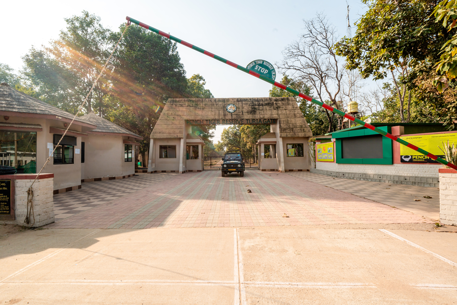 treebo premium mowglis den pench