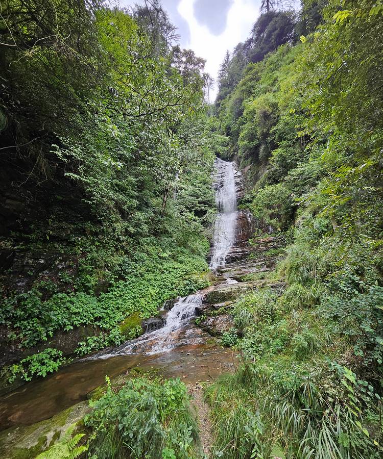 Blusalzz Vine Hills Resort, Manali,Gadherni Waterfall,4 star