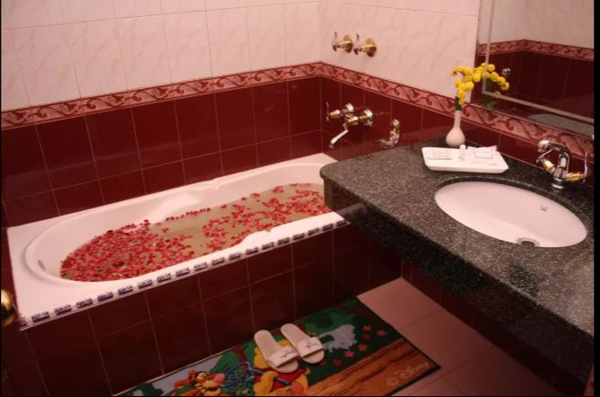 the royal regency manali