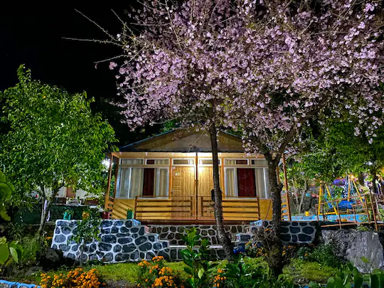 jjs village eco resort