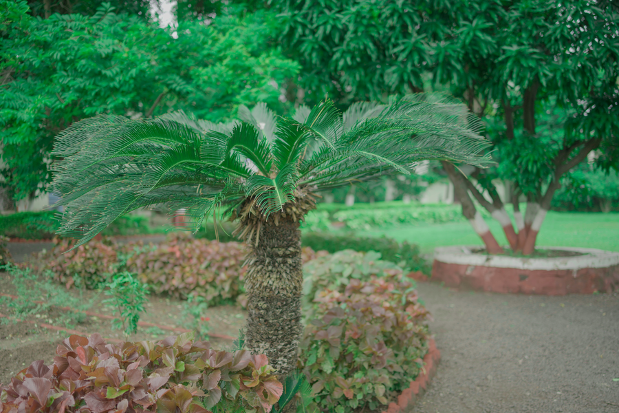 ambassador ajanta hotel
