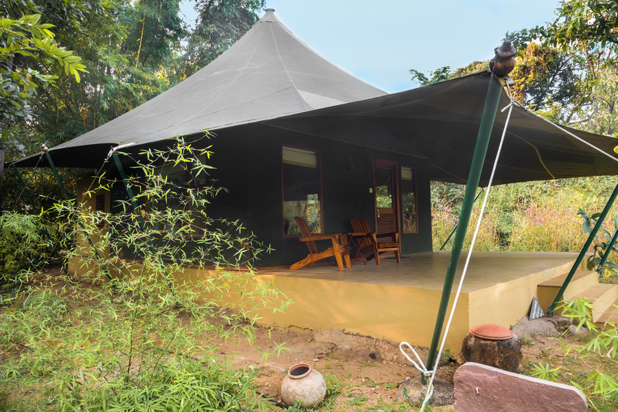 pench jungle camp