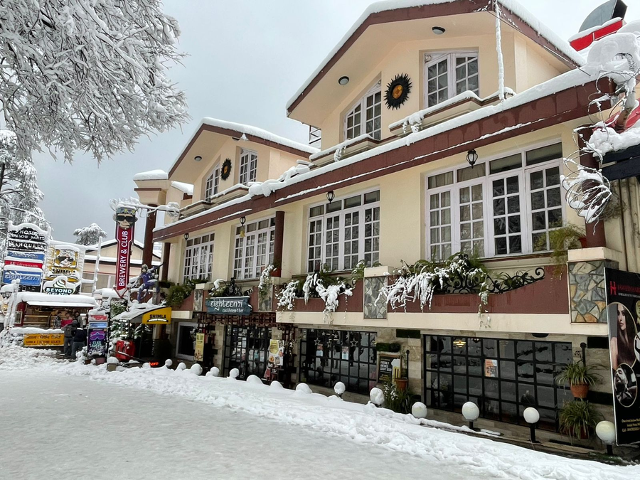 hotel willow banks shimla