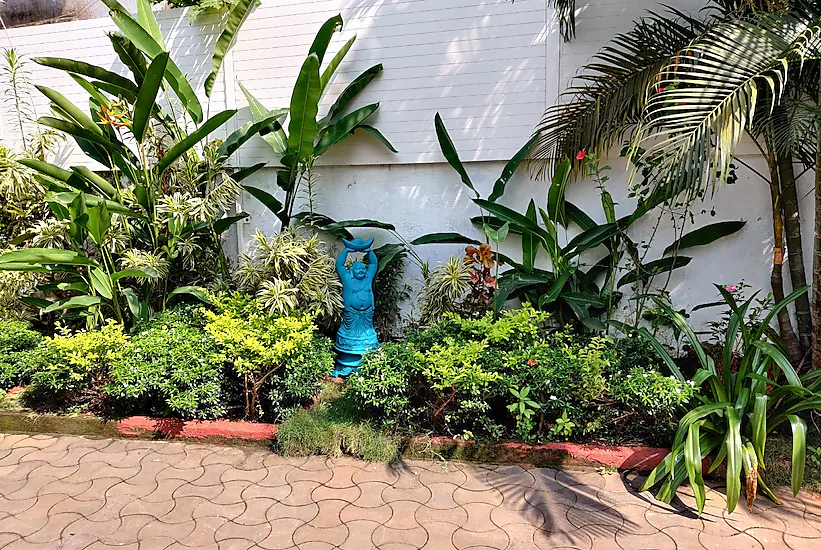 goa