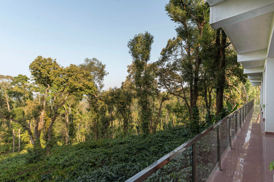 itsy hotels jammabane cottage 5 minutes to mountain view coffee plantation