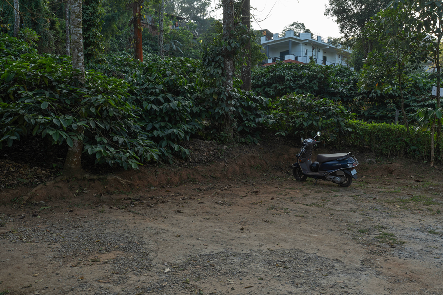 itsy hotels jammabane cottage 5 minutes to mountain view coffee plantation