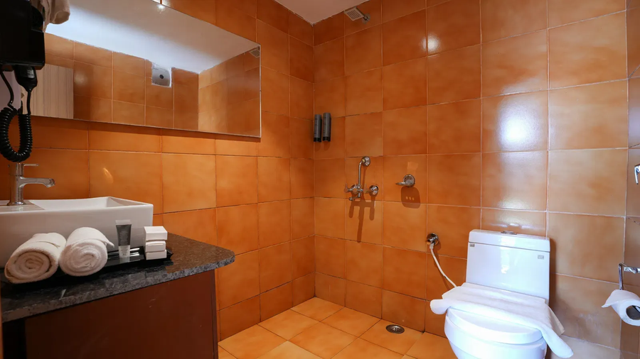 summit green village lake resort and spa kaziranga