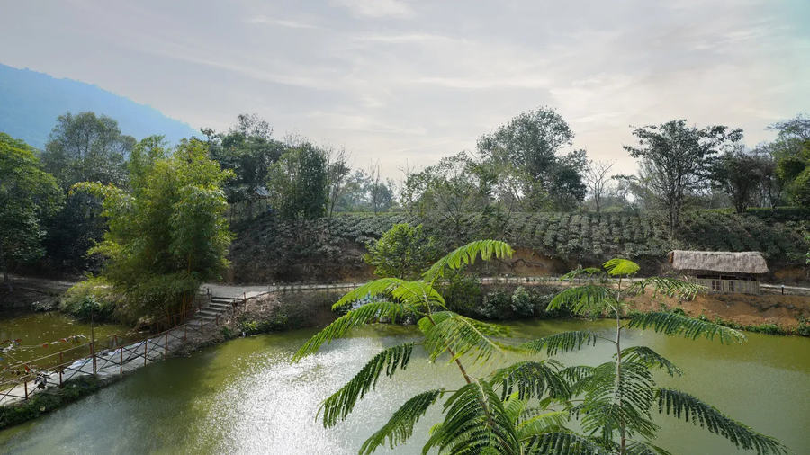 summit green village lake resort and spa kaziranga