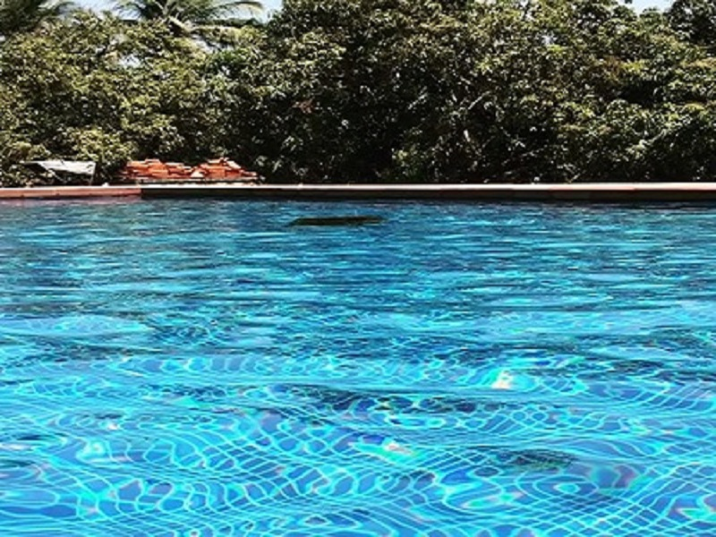 aaranya resort