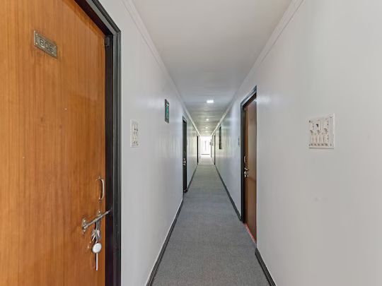 hotel dolphin