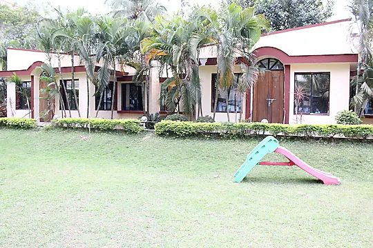 hotel dolphin