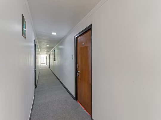 hotel dolphin