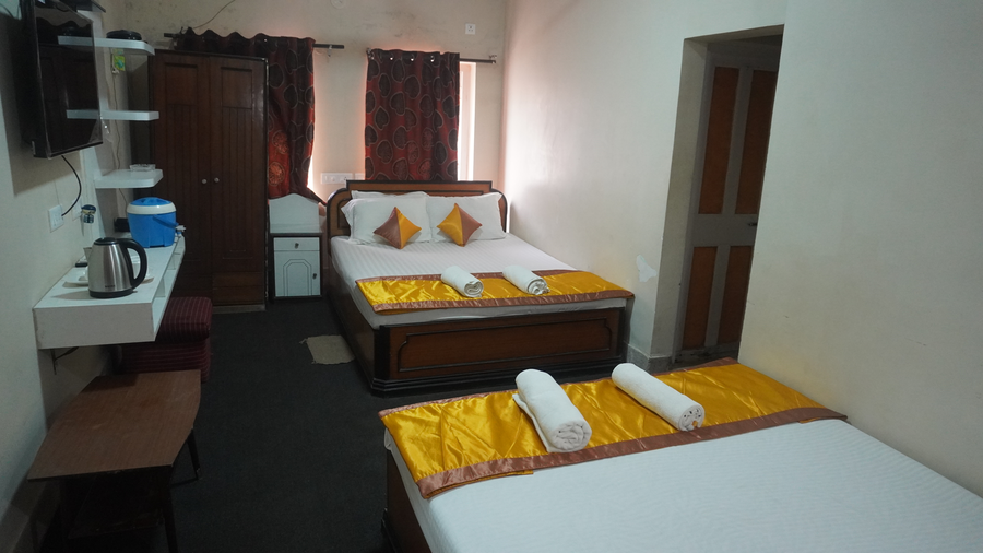 hotel dolphin