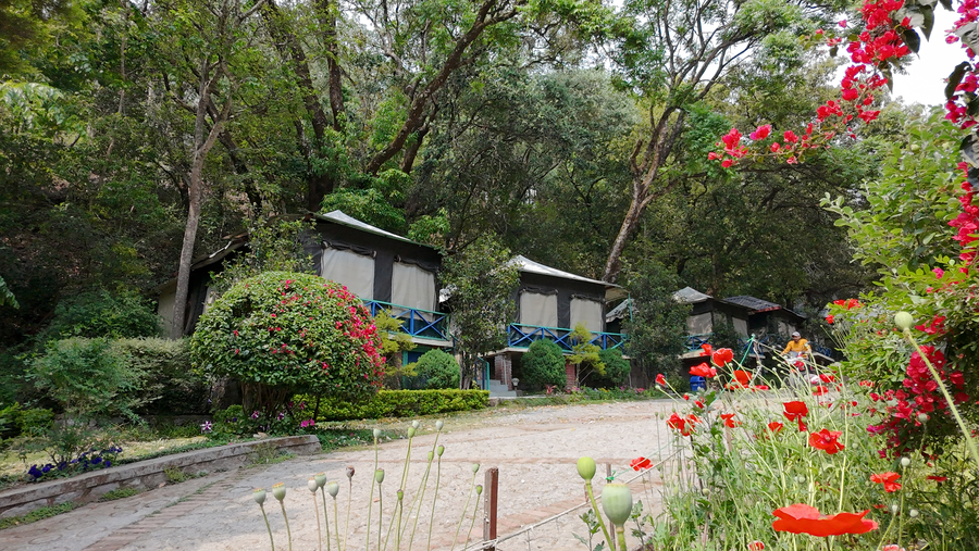 latitude 29 by the lake resort