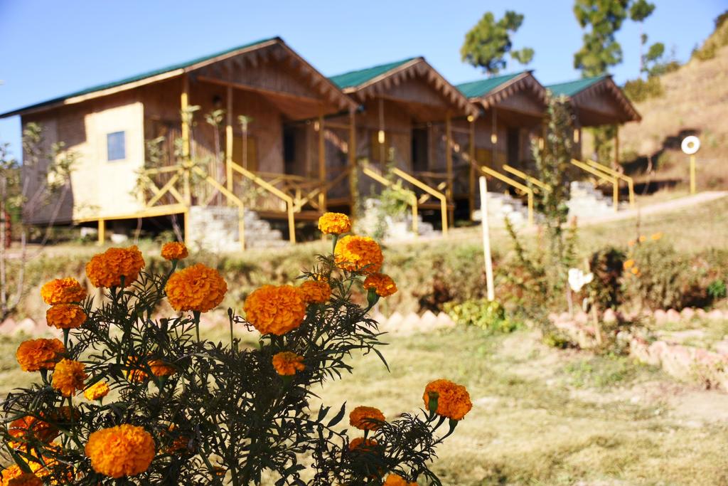 pauri