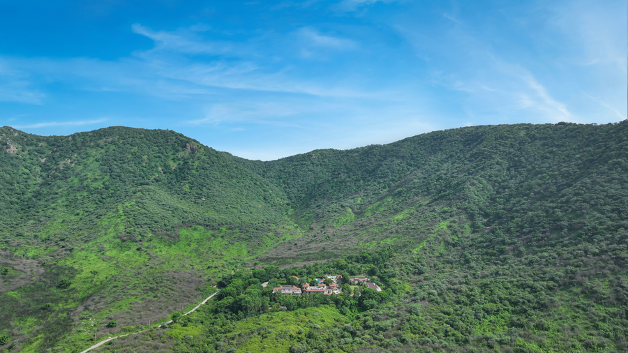 anandam a luxury resort in udaipur