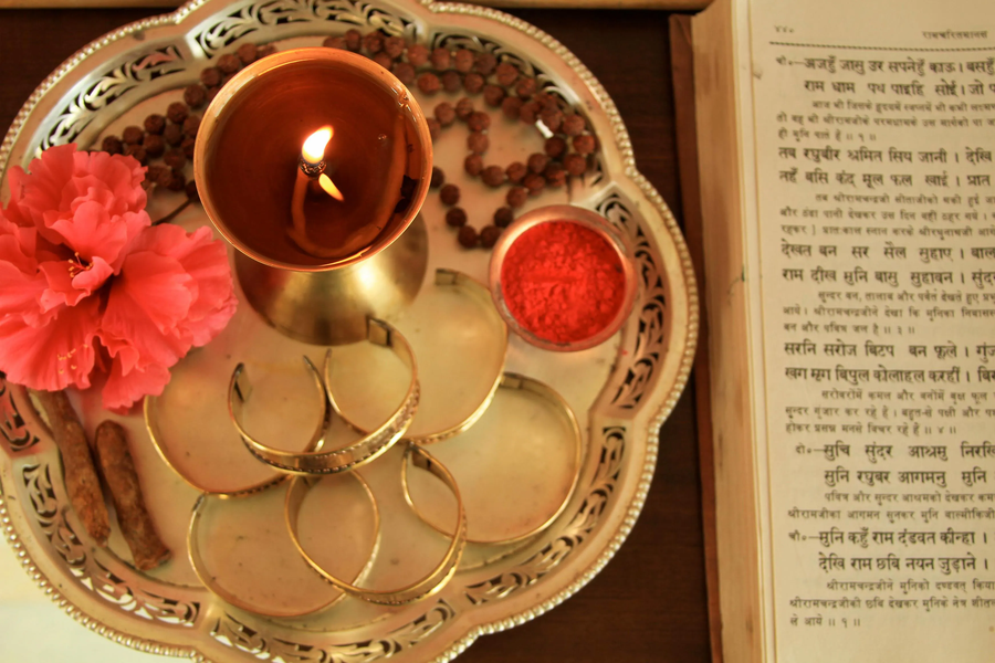 tree of life resort and spa jaipur