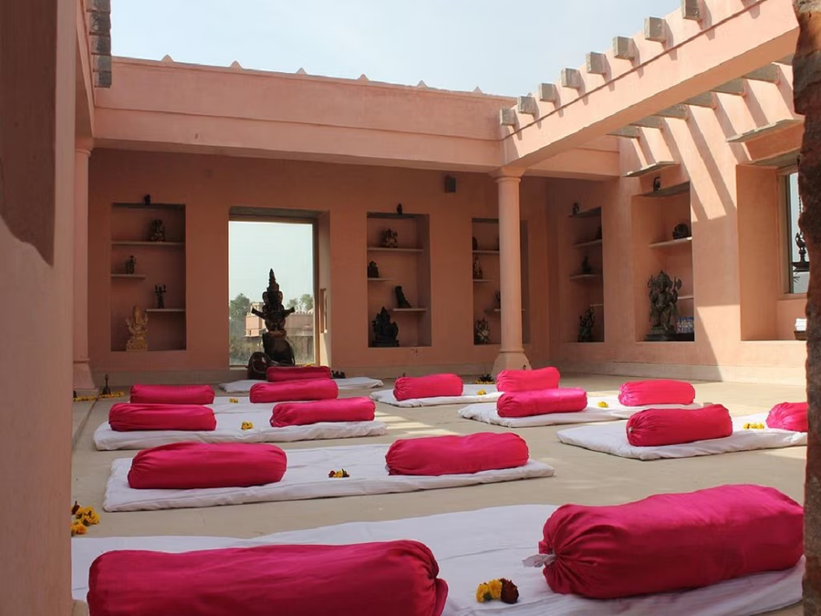 tree of life resort and spa jaipur