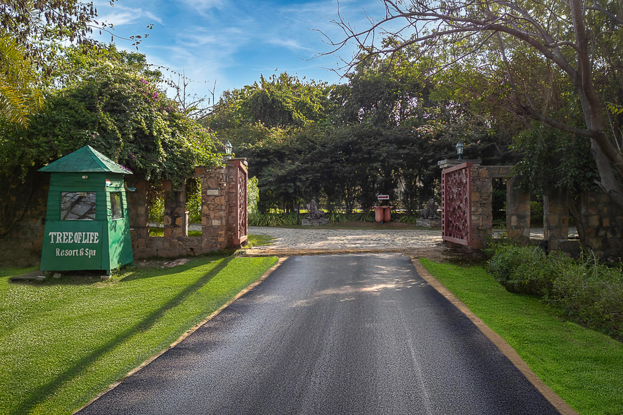 tree of life resort and spa jaipur