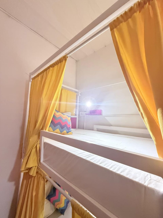 gostops udaipur hostel