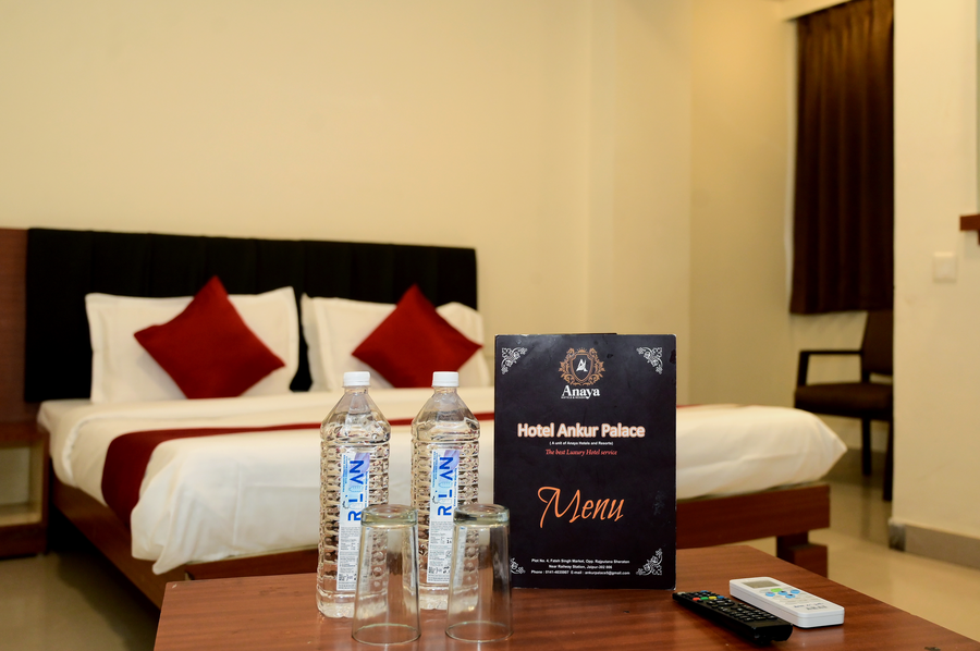 hotel ankur palace