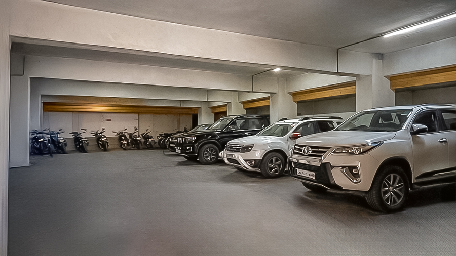 yashshree sanderling