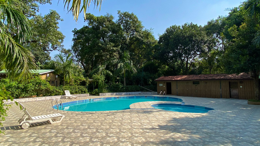 mpt white tiger forest lodge bandhavgarh