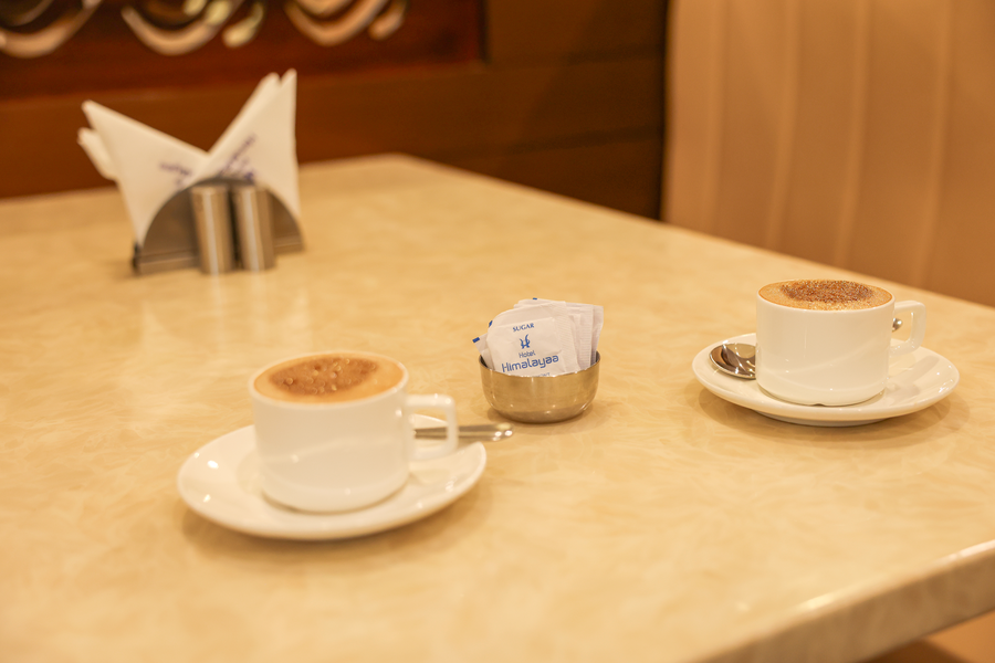 hotel himalayaa a bergamont hotel tiruvannamalai
