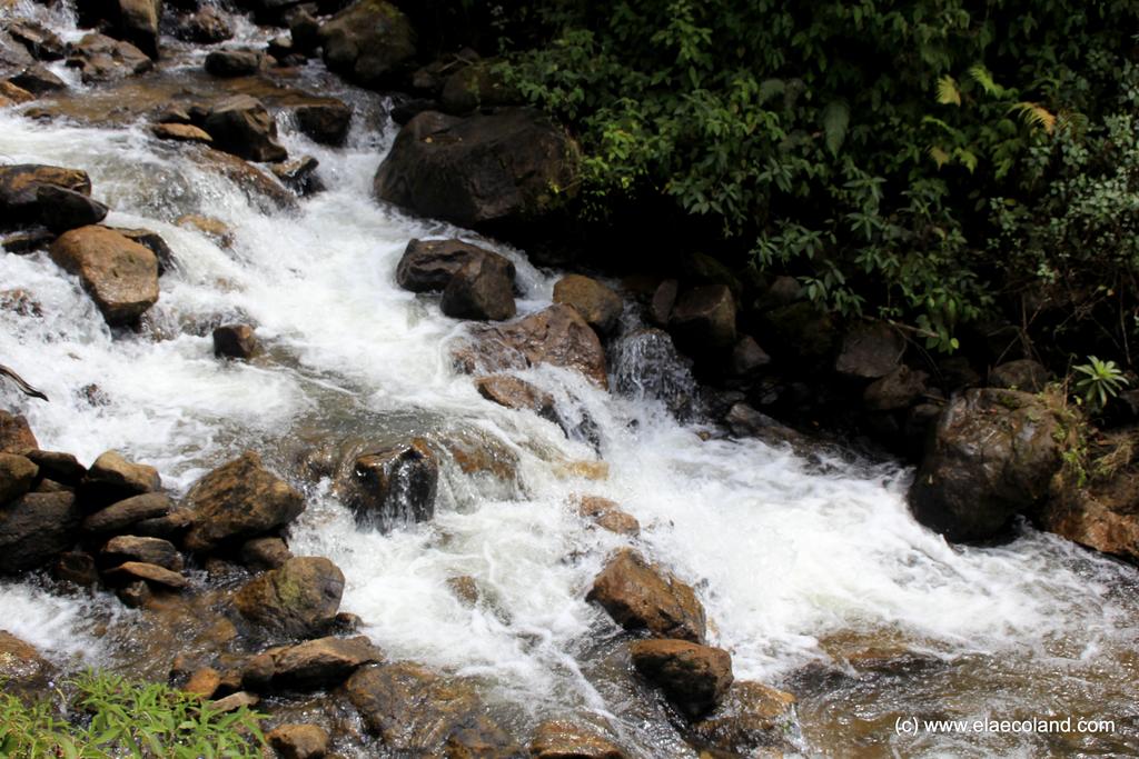 Ela Ecoland Nature Retreat,Idukki>>Devikolam,3 star