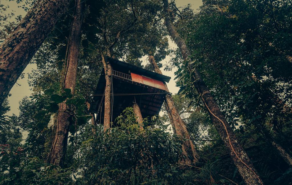 ela ecoland nature retreat